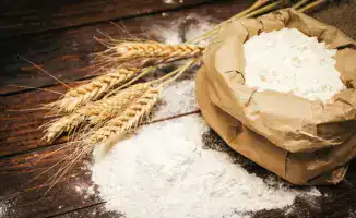 Производство кормовой муки в Астане: пример трудовой адаптации осуждённых и развития малого бизнеса в Казахстане.