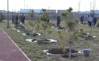 В Туркестанской области усиливают работу по программе «Таза Қазақстан»: новые пункты обогрева и борьба со свалками