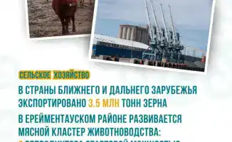 Акмолинская область достигла рекордного урожая зерна в 2025 году