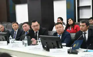 Алматинская область обсудила трудоустройство в Корее