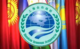 Видеоконференция стран – членов ШОС: новые горизонты для фитосанитарного сотрудничества