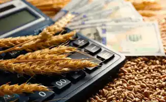 Обнаружены нарушения в субсидировании перевозки зерна на экспорт в Казахстане