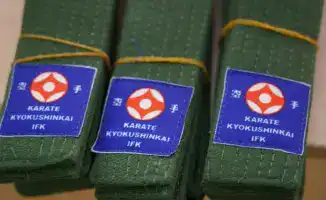 Юные каратисты: пояса и поддержка в столичной школе!