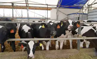 Акмолинская область демонстрирует рекордный рост инвестиций в 2025 году