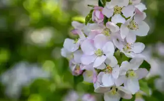 Включение фестивалей Жетісу в событийный календарь способствует развитию внутреннего туризма и укреплению региональных брендов