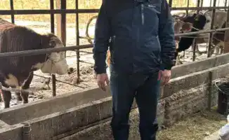 Отырар: развитие скотоводства Мухамеддауита Косаева