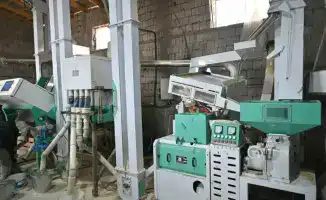 Новый рисоперерабатывающий цех в Туркестанской области: инвестиции и возможности для местного рынка