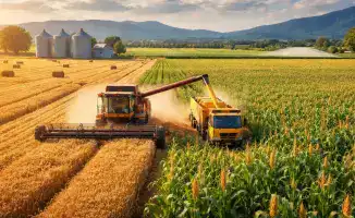 Алматинская область инициирует проект по глубокой переработке кукурузы, вдохновленный опытом Северного Казахстана