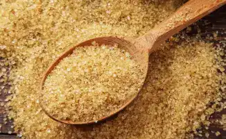 Строительство завода по производству желатина и коллагена Iskefe Holding: новые перспективы для рынка и экспорта