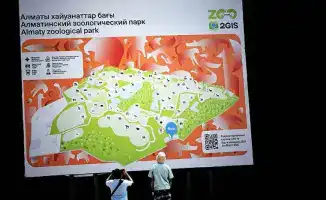 Приём использованных новогодних ёлок в Алматинском зоологическом парке