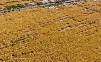 Успешная реализация водосберегающих технологий в Туркестанской области позволяет сэкономить 195 млн кубометров воды