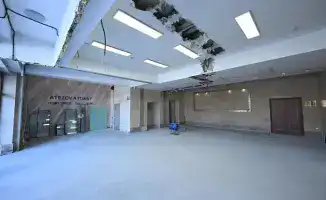 Город под кистью: Дархан Сатыбалды направляет усилия на преображение Алматы