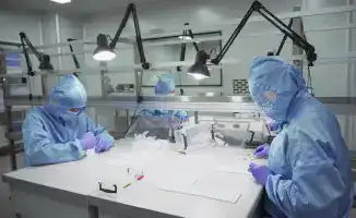 Создание более 42 тысяч новых рабочих мест в Жамбылской области: шаг к экономическому развитию Казахстана