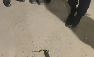 Задержание мужчины с мачете в Конаеве: последствия для общественной безопасности