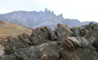 Президент Казахстана акцентирует внимание на сохранении культурного наследия и его включении в список ЮНЕСКО