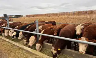 Аксуатский район: строительный бум в мире предпринимательства