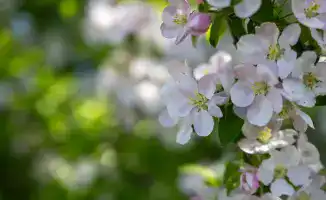 Экологический туризм в Жетісу: число посетителей национальных парков за год достигло 40 тыс. человек