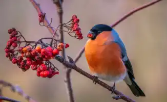 Казахстан ожидает резкие перепады температуры: потепление сменится морозами, что может повлиять на здоровье и транспортную инфраструктуру