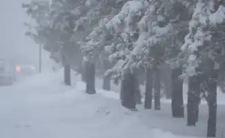 Прогноз погоды в Казахстане: снегопад на выходные 24-26 января от синоптиков Казгидромета