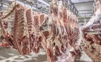 Казахстан вводит ограничения: говядина под замком?