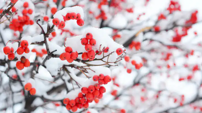 Сильные морозы ожидаются в Казахстане после снегопада Павлодаре