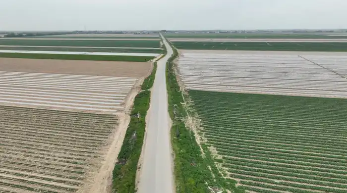 ТУРКЕСТАН: В МАКТААРАЛЬСКОМ РАЙОНЕ ЗА ПРОШЛЫЙ ГОД ПРОИЗВЕДЕНО СЕЛЬХОЗПРОДУКЦИИ НА 85,7 МЛРД ТЕНГЕ (2)