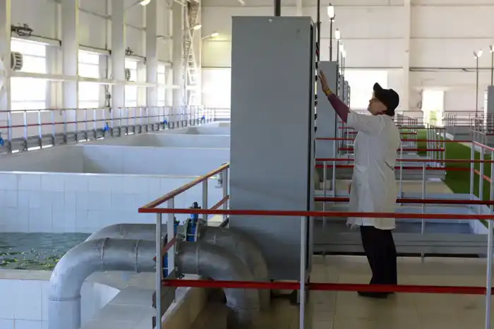 Цифровой двойник и «умное» ЖКХ: Алматы масштабирует цифровую трансформацию инфраструктуры (2)