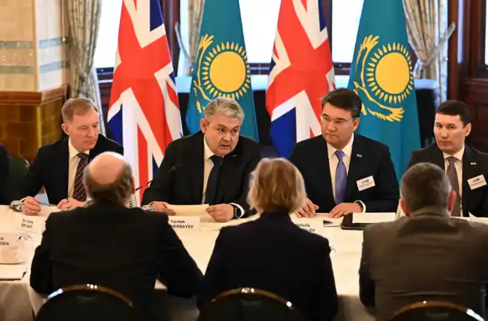 Казахстан и Великобритания обсуждают инвестиционное сотрудничество в области критических минералов Павлодаре