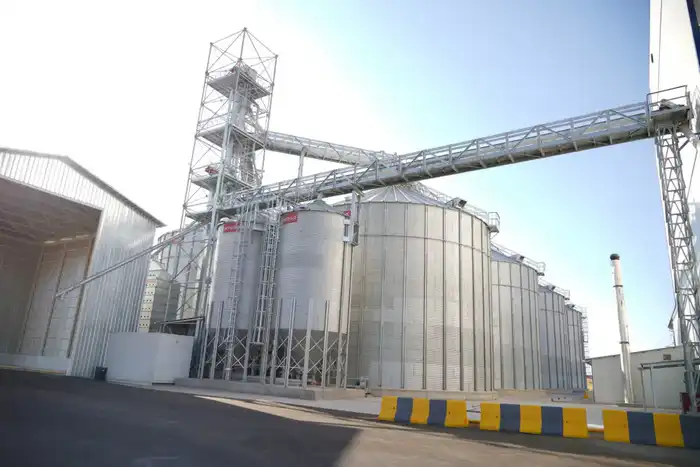 ТУРКЕСТАНСКАЯ ОБЛАСТЬ: МЯСНОЙ ГИГАНТ РЕСПУБЛИКИ С ЭКСПОРТОМ БОЛЕЕ 60 ТЫСЯЧ ТОНН Павлодаре