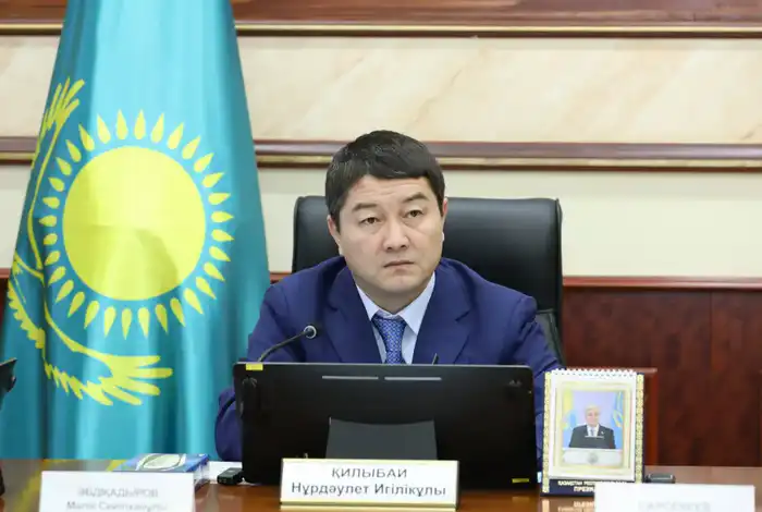 Нурдаулет Килыбай принял председателя правления фонда «Даму» (3)