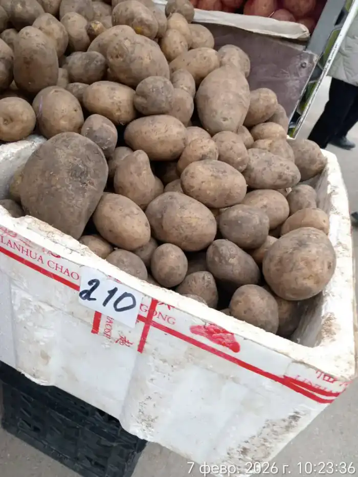 На ярмарке в Актау из стабилизационного фонда было реализовано 2 тонны картофеля (5)