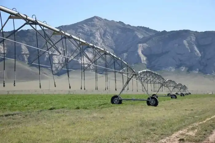 Экономический рост Созакского района: валовый региональный продукт превысил 1 трлн тенге и его влияние на местное население Павлодаре