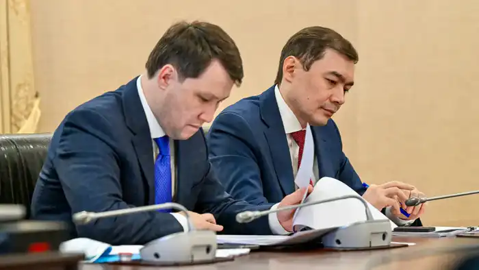 Прядильные фабрики, переработка шкур, бытовая химия – сформирован предварительный пул проектов «Заказа на инвестиции» (4)