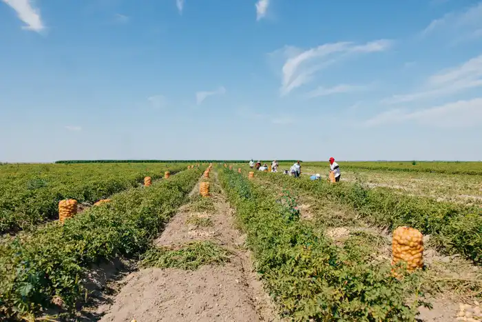 К весенне-полевым работам в Атырауской области задействуют 780 единиц сельхозтехники (3)