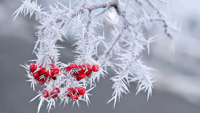 Прогноз погоды в Казахстане: 37-градусные морозы 21, 22 и 23 февраля от синоптиков Казгидромета Павлодаре