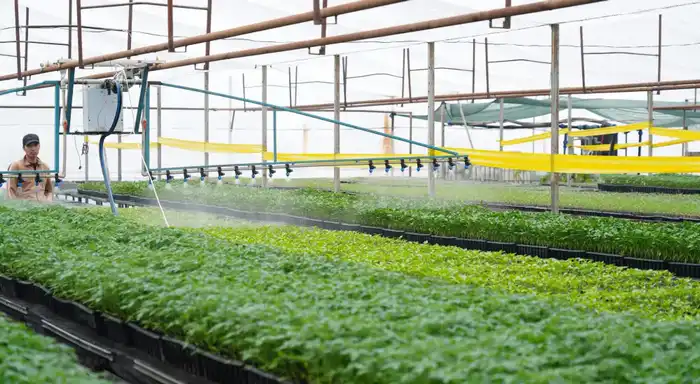 Туркестанская область охватывает 114 тыс. гектаров с водосберегающими технологиями Павлодаре