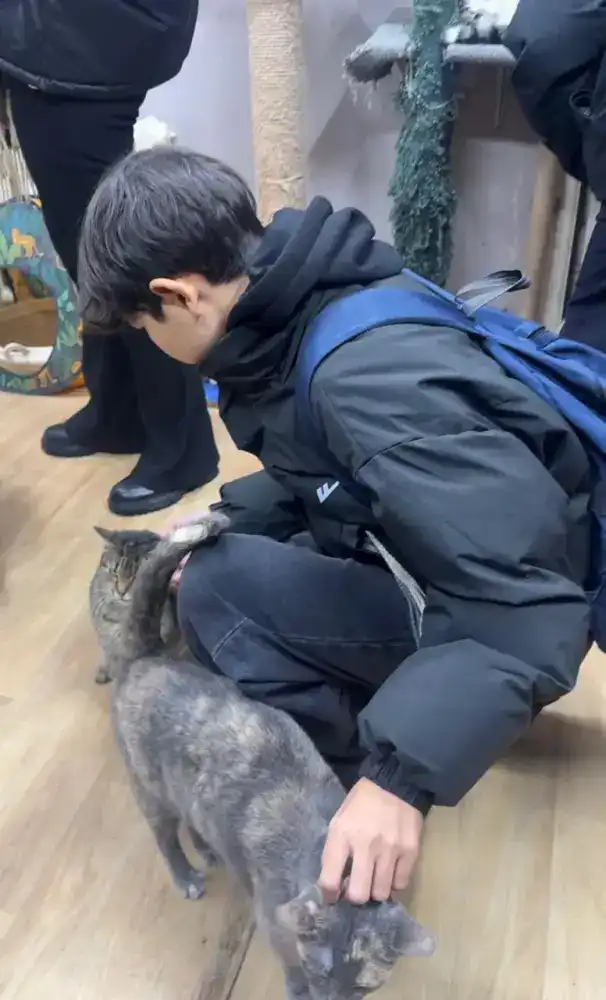 Астанинские школьники помогли приюту для животных Павлодаре