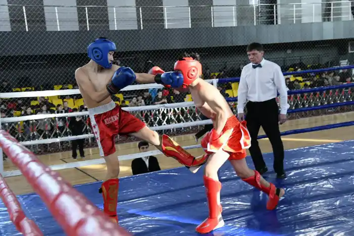 «Астана – город без наркотиков»: турнир по кикбоксингу среди молодежи провели в столице (5)