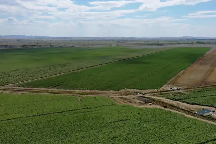 В области обсудили поддержку агропромышленного комплекса и стабилизацию цен на социально значимые продукты питания (9)