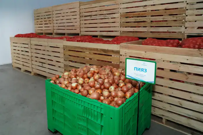 ИНДУСТРИАЛЬНЫЙ ПАРК В ТУРКЕСТАНЕ ДАЕТ ИМПУЛЬС ЭКОНОМИКЕ СТРАНЫ (5)