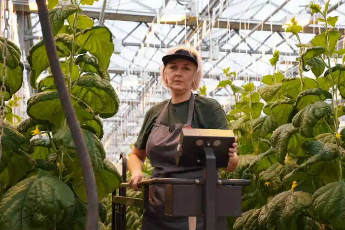 Делегация ВКО ознакомилась с работой крупнейшей теплицы в Барнауле (9)