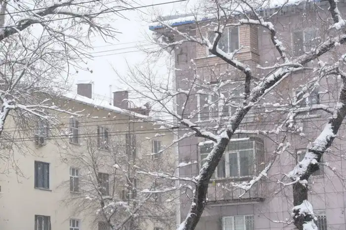 Кровли под контролем: управляющим компаниям напомнили о зимней безопасности (2)