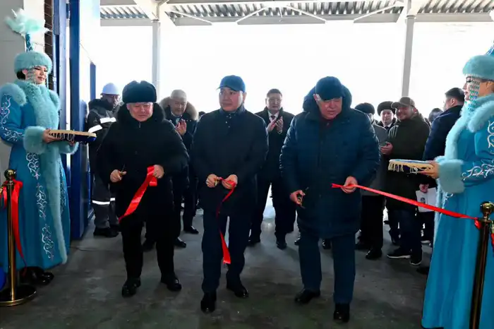 В области Абай открыт завод по переработке бобовых и масличных культур (4)