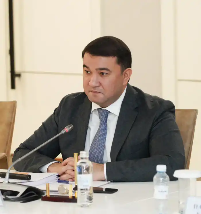 Нуралхан Кушеров обсудил с инвесторами создание эко-этнографической зоны отдыха в Тюлькубасе Павлодаре