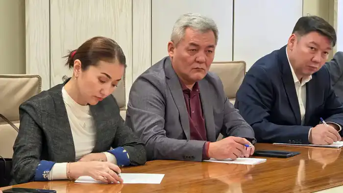 В Астане специалисты сферы культуры обсудили конституционные реформы (3)