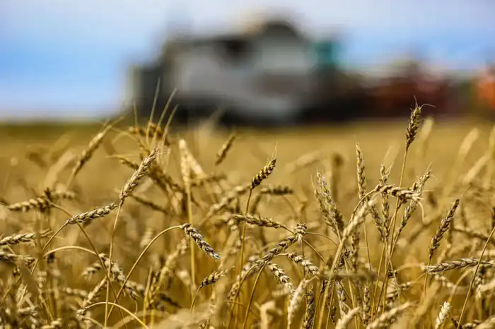 На заседании правительства Казахстана обсуждают обязательное животноводство и проекты по глубокой переработке сельхозпродукции Павлодаре