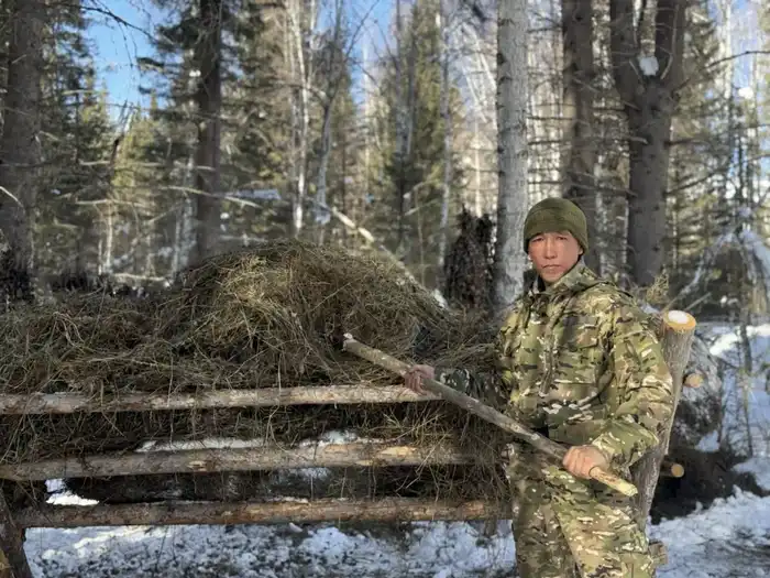 Забота о дикой природе зимой (4)