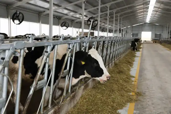 Рабочая поездка в Жамбылский район: образование, жилищная политика, АПК (9)