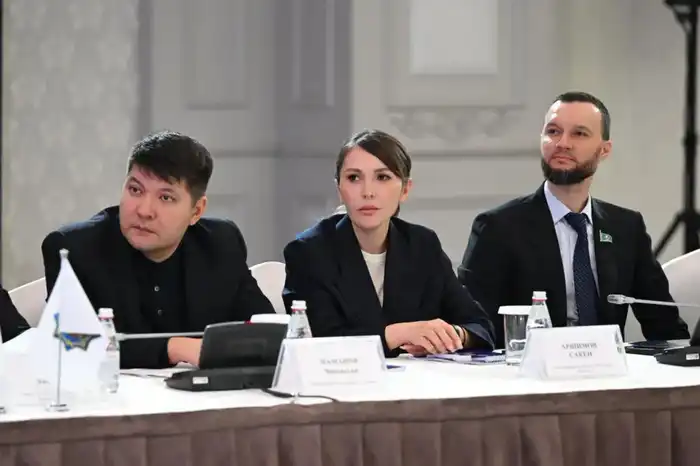 Аким Алматы Дархан Сатыбалды обсуждает инвестиционные возможности с международными инвесторами Павлодаре