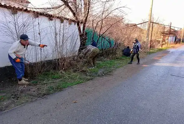 Работы по благоустройству в Сарыагаше продолжаются Павлодаре